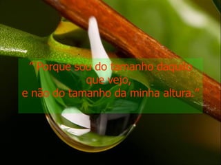 ”  Porque sou do tamanho daquilo que vejo,  e não do tamanho da minha altura.” 