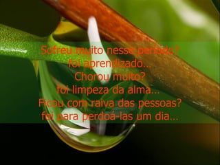 Sofreu muito nesse período? foi aprendizado… Chorou muito? foi limpeza da alma…  Ficou com raiva das pessoas? foi para perdoá-las um dia… 