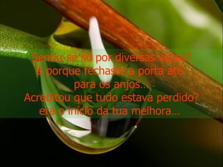 Sentiu-se só por diversas vezes? é porque fechaste a porta até  para os anjos… Acreditou que tudo estava perdido? era o início da tua melhora…  