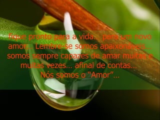 fique pronto para a vida… para um novo amor… Lembre-se somos apaixonáveis… somos sempre capazes de amar muitas e muitas vezes… afinal de contas…  Nós somos o “Amor”… 