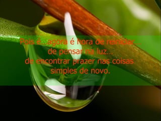 Pois é…agora é hora de reiniciar… de pensar na luz… de encontrar prazer nas coisas  simples de novo. 