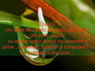 Que tal Um corte de cabelo arrojado…diferente? Um novo curso… ou aquele velho desejo de aprender a pintar…desenhar…dominar o computador… ou qualquer outra coisa…  