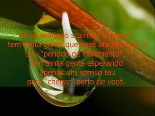 Tá se sentindo sozinho? besteira… tem tanta gente que você afastou com o seu “período de isolamento”… tem tanta gente esperando  apenas um sorriso teu para “chegar” perto de você.  