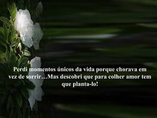 Perdi momentos únicos da vida porque chorava em
vez de sorrir…Mas descobri que para colher amor tem
que planta-lo!
 