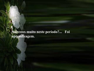 Sofrestes muito neste período?... Foi
aprendizagem.
 