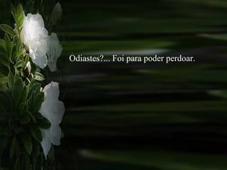 Odiastes?... Foi para poder perdoar. 