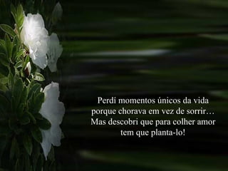 Perdí momentos únicos da vida porque chorava em vez de sorrir…Mas descobri que para colher amor tem que planta-lo! 