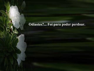 Odiastes?... Foi para poder perdoar.
 