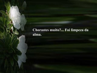 Chorastes muito?... Foi limpeza da alma. 