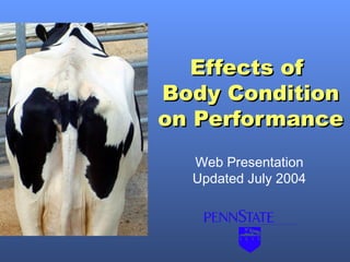 Effects of
Body Condition
on Performance
  Web Presentation
  Updated July 2004
 