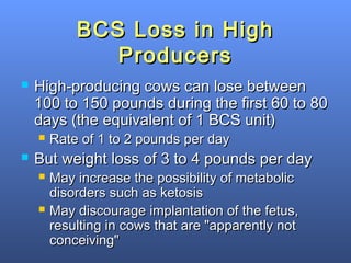Effects of Body Condition on Performance of Dairy Cows