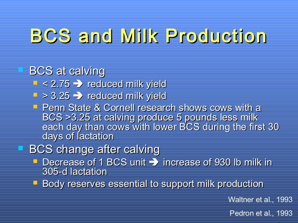 Effects of Body Condition on Performance of Dairy Cows