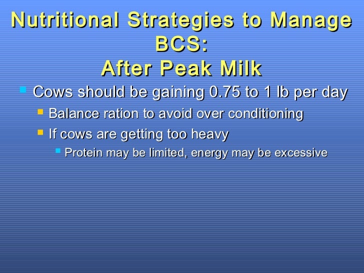 Effects of Body Condition on Performance of Dairy Cows