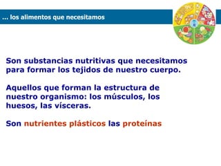 Son substancias nutritivas que necesitamos para formar los tejidos de nuestro cuerpo.  Aquellos que forman la estructura de nuestro organismo: los músculos, los huesos, las vísceras.  Son  nutrientes plásticos  las  proteínas …  los alimentos que necesitamos  