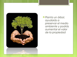  Plantaun árbol,
 ayudarás a
 preservar el medio
 ambiente y podrás
 aumentar el valor
 de la propiedad
 
