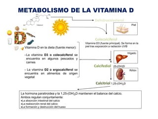 Colecalciferol
Vitamina D3 (fuente principal). Se forma en la
piel tras exposición a radiación UVB
Calcifediol 25-(OH)D
Ca...