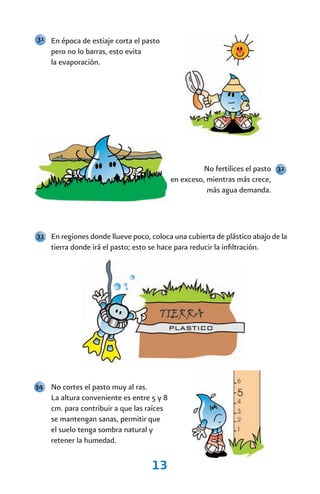 31 En época de estiaje corta el pasto
     pero no lo barras, esto evita
     la evaporación.




                                                      No fertilices el pasto 32
                                            en exceso, mientras más crece,
                                                       más agua demanda.




33 En regiones donde llueve poco, coloca una cubierta de plástico abajo de la
     tierra donde irá el pasto; esto se hace para reducir la infiltración.




34   No cortes el pasto muy al ras.
     La altura conveniente es entre 5 y 8
     cm. para contribuir a que las raíces
     se mantengan sanas, permitir que
     el suelo tenga sombra natural y
     retener la humedad.

                                      13
 