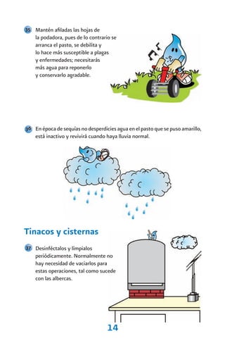 35 Mantén afiladas las hojas de
    la podadora, pues de lo contrario se
    arranca el pasto, se debilita y
    lo hace más susceptible a plagas
    y enfermedades; necesitarás
    más agua para reponerlo
    y conservarlo agradable.




36 En época de sequías no desperdicies agua en el pasto que se puso amarillo,
    está inactivo y revivirá cuando haya lluvia normal.




Tinacos y cisternas
37 Desinféctalos y límpialos
    periódicamente. Normalmente no
    hay necesidad de vaciarlos para
    estas operaciones, tal como sucede
    con las albercas.




                                    14
 