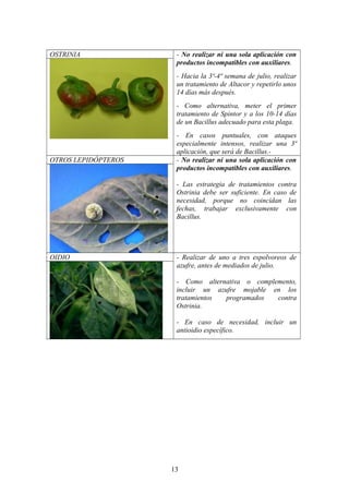 OSTRINIA - No realizar ni una sola aplicación con 
productos incompatibles con auxiliares. 
- Hacia la 3ª-4ª semana de julio, realizar 
un tratamiento de Altacor y repetirlo unos 
14 días más después. 
- Como alternativa, meter el primer 
tratamiento de Spintor y a los 10-14 días 
de un Bacillus adecuado para esta plaga. 
- En casos puntuales, con ataques 
especialmente intensos, realizar una 3ª 
aplicación, que será de Bacillus.- 
OTROS LEPIDÓPTEROS - No realizar ni una sola aplicación con 
productos incompatibles con auxiliares. 
- Las estrategia de tratamientos contra 
Ostrinia debe ser suficiente. En caso de 
necesidad, porque no coincidan las 
fechas, trabajar exclusivamente con 
Bacillus. 
OIDIO - Realizar de uno a tres espolvoreos de 
azufre, antes de mediados de julio. 
- Como alternativa o complemento, 
incluir un azufre mojable en los 
tratamientos programados contra 
Ostrinia. 
- En caso de necesidad, incluir un 
antioidio específico. 
13 
 