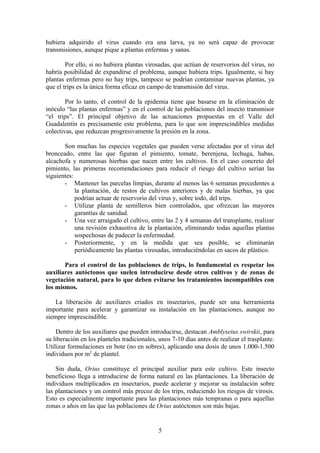 hubiera adquirido el virus cuando era una larva, ya no será capaz de provocar 
transmisiones, aunque pique a plantas enfermas y sanas. 
Por ello, si no hubiera plantas virosadas, que actúan de reservorios del virus, no 
habría posibilidad de expandirse el problema, aunque hubiera trips. Igualmente, si hay 
plantas enfermas pero no hay trips, tampoco se podrían contaminar nuevas plantas, ya 
que el trips es la única forma eficaz en campo de transmisión del virus. 
Por lo tanto, el control de la epidemia tiene que basarse en la eliminación de 
inóculo “las plantas enfermas” y en el control de las poblaciones del insecto transmisor 
“el trips”. El principal objetivo de las actuaciones propuestas en el Valle del 
Guadalentín es precisamente este problema, para lo que son imprescindibles medidas 
colectivas, que reduzcan progresivamente la presión en la zona. 
Son muchas las especies vegetales que pueden verse afectadas por el virus del 
bronceado, entre las que figuran el pimiento, tomate, berenjena, lechuga, habas, 
alcachofa y numerosas hierbas que nacen entre los cultivos. En el caso concreto del 
pimiento, las primeras recomendaciones para reducir el riesgo del cultivo serían las 
siguientes: 
- Mantener las parcelas limpias, durante al menos las 6 semanas precedentes a 
la plantación, de restos de cultivos anteriores y de malas hierbas, ya que 
podrían actuar de reservorio del virus y, sobre todo, del trips. 
- Utilizar planta de semilleros bien controlados, que ofrezcan las mayores 
garantías de sanidad. 
- Una vez arraigado el cultivo, entre las 2 y 4 semanas del transplante, realizar 
una revisión exhaustiva de la plantación, eliminando todas aquellas plantas 
sospechosas de padecer la enfermedad. 
- Posteriormente, y en la medida que sea posible, se eliminarán 
periódicamente las plantas virosadas, introduciéndolas en sacos de plástico. 
Para el control de las poblaciones de trips, lo fundamental es respetar los 
auxiliares autóctonos que suelen introducirse desde otros cultivos y de zonas de 
vegetación natural, para lo que deben evitarse los tratamientos incompatibles con 
los mismos. 
La liberación de auxiliares criados en insectarios, puede ser una herramienta 
importante para acelerar y garantizar su instalación en las plantaciones, aunque no 
siempre imprescindible. 
Dentro de los auxiliares que pueden introducirse, destacan Amblyseius swirskii, para 
su liberación en los planteles tradicionales, unos 7-10 días antes de realizar el trasplante. 
Utilizar formulaciones en bote (no en sobres), aplicando una dosis de unos 1.000-1.500 
individuos por m2 de plantel. 
Sin duda, Orius constituye el principal auxiliar para este cultivo. Este insecto 
beneficioso llega a introducirse de forma natural en las plantaciones. La liberación de 
individuos multiplicados en insectarios, puede acelerar y mejorar su instalación sobre 
las plantaciones y un control más precoz de los trips, reduciendo los riesgos de virosis. 
Esto es especialmente importante para las plantaciones más tempranas o para aquellas 
zonas o años en las que las poblaciones de Orius autóctonos son más bajas. 
5 
 