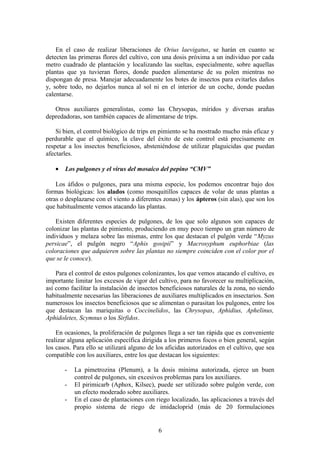 En el caso de realizar liberaciones de Orius laevigatus, se harán en cuanto se 
detecten las primeras flores del cultivo, con una dosis próxima a un individuo por cada 
metro cuadrado de plantación y localizando las sueltas, especialmente, sobre aquellas 
plantas que ya tuvieran flores, donde pueden alimentarse de su polen mientras no 
dispongan de presa. Manejar adecuadamente los botes de insectos para evitarles daños 
y, sobre todo, no dejarlos nunca al sol ni en el interior de un coche, donde puedan 
calentarse. 
Otros auxiliares generalistas, como las Chrysopas, míridos y diversas arañas 
depredadoras, son también capaces de alimentarse de trips. 
Si bien, el control biológico de trips en pimiento se ha mostrado mucho más eficaz y 
perdurable que el químico, la clave del éxito de este control está precisamente en 
respetar a los insectos beneficiosos, absteniéndose de utilizar plaguicidas que puedan 
afectarles. 
· Los pulgones y el virus del mosaico del pepino “CMV” 
Los áfidos o pulgones, para una misma especie, los podemos encontrar bajo dos 
formas biológicas: los alados (como mosquitillos capaces de volar de unas plantas a 
otras o desplazarse con el viento a diferentes zonas) y los ápteros (sin alas), que son los 
que habitualmente vemos atacando las plantas. 
Existen diferentes especies de pulgones, de los que solo algunos son capaces de 
colonizar las plantas de pimiento, produciendo en muy poco tiempo un gran número de 
individuos y melaza sobre las mismas, entre los que destacan el pulgón verde “Myzus 
persicae”, el pulgón negro “Aphis gosipii” y Macrosyphum euphorbiae (las 
coloraciones que adquieren sobre las plantas no siempre coinciden con el color por el 
que se le conoce). 
Para el control de estos pulgones colonizantes, los que vemos atacando el cultivo, es 
importante limitar los excesos de vigor del cultivo, para no favorecer su multiplicación, 
así como facilitar la instalación de insectos beneficiosos naturales de la zona, no siendo 
habitualmente necesarias las liberaciones de auxiliares multiplicados en insectarios. Son 
numerosos los insectos beneficiosos que se alimentan o parasitan los pulgones, entre los 
que destacan las mariquitas o Coccinelidos, las Chrysopas, Aphidius, Aphelinus, 
Aphidoletes, Scymnus o los Sirfidos. 
En ocasiones, la proliferación de pulgones llega a ser tan rápida que es conveniente 
realizar alguna aplicación específica dirigida a los primeros focos o bien general, según 
los casos. Para ello se utilizará alguno de los aficidas autorizados en el cultivo, que sea 
compatible con los auxiliares, entre los que destacan los siguientes: 
- La pimetrozina (Plenum), a la dosis mínima autorizada, ejerce un buen 
control de pulgones, sin excesivos problemas para los auxiliares. 
- El pirimicarb (Aphox, Kilsec), puede ser utilizado sobre pulgón verde, con 
un efecto moderado sobre auxiliares. 
- En el caso de plantaciones con riego localizado, las aplicaciones a través del 
propio sistema de riego de imidacloprid (más de 20 formulaciones 
6 
 