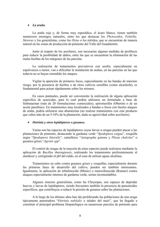 · La araña 
La araña roja y, de forma muy esporádica, el ácaro blanco, tienen también 
numerosos enemigos naturales, entre los que destacan los Phytoseidos, Feltiella, 
Stetorus y los generalistas, como los Orius o los míridos, que se encuentran de manera 
natural en las zonas de producción de pimiento del Valle del Guadalentín. 
Junto al respeto de los auxiliares, son necesarias algunas medidas de profilaxis 
para reducir la posibilidad de daños, entre las que se encuentran la eliminación de las 
malas hierbas de los márgenes de las parcelas. 
La realización de tratamientos preventivos con azufre, especialmente en 
espolvoreos a motor, van a dificultar la instalación de arañas, en las parcelas en las que 
todavía no se hayan extendido los ataques. 
Vigilar la aparición de primeros focos, especialmente en las bandas de máximo 
riesgo, por la presencia de hierbas o de otros cultivos sensibles (como alcachofa), es 
fundamental para actuar rápidamente sobre los mismos. 
En casos puntuales, puede ser conveniente la realización de alguna aplicación 
específica de acaricidas, para lo cual podría utilizarse un formulado a base de 
fenbutaestan (más de 20 formulaciones comerciales), spiromesifen (Oberón) o de un 
aceite parafínico. En tratamientos muy localizados a bandas o focos con fuertes ataques 
de araña, podría utilizarse una abamectina (no realizar tratamientos con este producto 
que cubra más de un 5-10% de la plantación, dada su agresividad sobre auxiliares). 
· Ostrinia y otros lepidópteros o gusanos. 
Varias son las especies de lepidópteros cuyas larvas u orugas pueden atacar a las 
plantaciones de pimiento, destacando la gardama verde “Spodoptera exigua”, rosquilla 
negra “Spodoptera littoralis”, camelleros “Autographa gamma y Plusia chalcites” o 
gusanos grises “Agrotis spp”. 
El control de orugas de la mayoría de estas especies puede realizarse mediante la 
aplicación de Bacillus thuringiensis, realizando los tratamientos preferentemente al 
atardecer y corrigiendo el pH del caldo, en el caso de utilizar aguas alcalinas. 
Tratamientos en cebo contra gusanos grises y rosquillas, especialmente durante 
las primeras fases de desarrollo del cultivo, pueden ser también interesantes. 
Igualmente, la aplicación de tebufenocida (Mimic) o metoxifenocida (Runner) contra 
ataques especialmente intensos de gardama verde, serían recomendables. 
Algunos insectos generalistas, como las Chrysopas, son capaces de depredar 
huevos y larvas de lepidópteros, siendo frecuentes también la presencia de parasitoides 
específicos, que contribuyen a reducir la presión de gusanos sobre las plantaciones. 
A lo largo de los últimos años han ido proliferando las poblaciones de una oruga 
típicamente penetradora “Ostrinia nubilalis o taladro del maíz”, que ha llegado a 
constituir el principal problema fitopatológico en numerosas parcelas de pimiento para 
8 
 