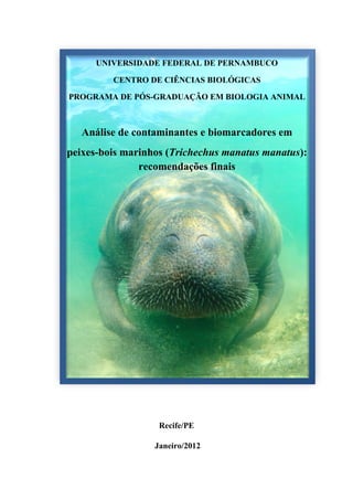 UNIVERSIDADE FEDERAL DE PERNAMBUCO

         CENTRO DE CIÊNCIAS BIOLÓGICAS

PROGRAMA DE PÓS-GRADUAÇÃO EM BIOLOGIA ANIMAL



   Análise de contaminantes e biomarcadores em
peixes-bois marinhos (Trichechus manatus manatus):
               recomendações finais




                   Recife/PE

                  Janeiro/2012
 