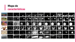 Mapa de
características
 