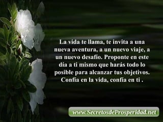 La vida te llama, te invita a una nueva aventura, a un nuevo viaje, a un nuevo desafío. Proponte en este día a ti mismo que harás todo lo posible para alcanzar tus objetivos. Confía en la vida, confía en ti . 