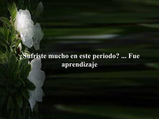 ¿Sufriste mucho en este periodo? ... Fue aprendizaje 