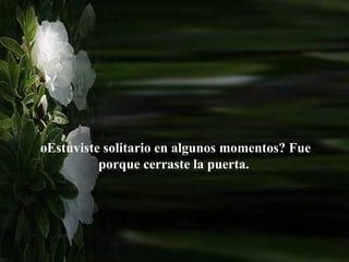 ¿Estuviste solitario en algunos momentos? Fue porque cerraste la puerta.  