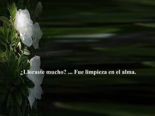 ¿Lloraste mucho? ... Fue limpieza en el alma.  