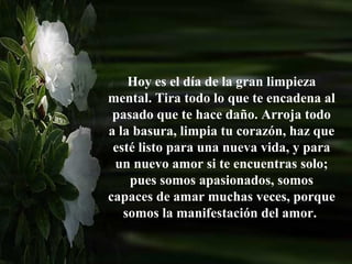 Hoy es el día de la gran limpieza
mental. Tira todo lo que te encadena al
 pasado que te hace daño. Arroja todo
a la basura, limpia tu corazón, haz que
 esté listo para una nueva vida, y para
 un nuevo amor si te encuentras solo;
    pues somos apasionados, somos
capaces de amar muchas veces, porque
   somos la manifestación del amor.
 
