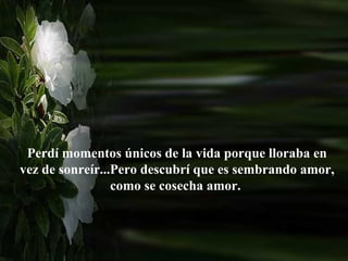 Perdí momentos únicos de la vida porque lloraba en
vez de sonreír...Pero descubrí que es sembrando amor,
                 como se cosecha amor.
 