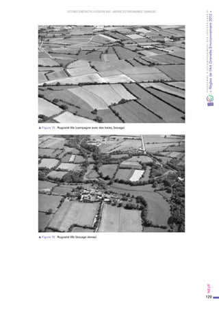 129
PROGRAMMED’ACCOMPAGNEMENTDESPROFESSIONNELS
«Règlesdel’ArtGrenelleEnvironnement2012»Neuf﻿
SYSTEMES CONSTRUCTIFS À OSSATURE BOIS – MAITRISE DES PERFORMANCES THERMIQUES
s Figure 75 : Rugosité IIIa (campagne avec des haies, bocage)
s Figure 76 : Rugosité IIIb (bocage dense)
 