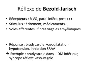 Réflexe de Bezold-Jarisch
• Récepteurs : ô VG, paroi inféro-post +++
• Stimulus : étirement, médicaments…
• Voies afférentes : fibres vagales amyéliniques
• Réponse : bradycardie, vasodilatation,
hypotension, inhibition SRAA
 Exemple : bradycardie dans l’IDM inférieur,
syncope réflexe vaso-vagale
 