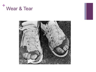 +
Wear & Tear
 