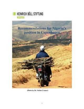 Recommendations for Nigeria’s
   position in Copenhagen




     (Photo by Dr. Stefan Cramer)




                        1
 