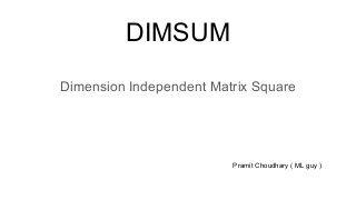 DIMSUM
Dimension Independent Matrix Square
Pramit Choudhary ( ML guy )
 