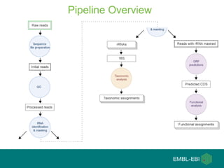 Pipeline Overview
 