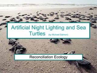 Artificial Night Lighting and Sea Turtles  (by Michael Salmon) Reconciliation Ecology 