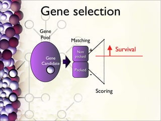 Gene selection Non packed Packed Gene Candidate Gene Pool Matching Scoring Survival + - 