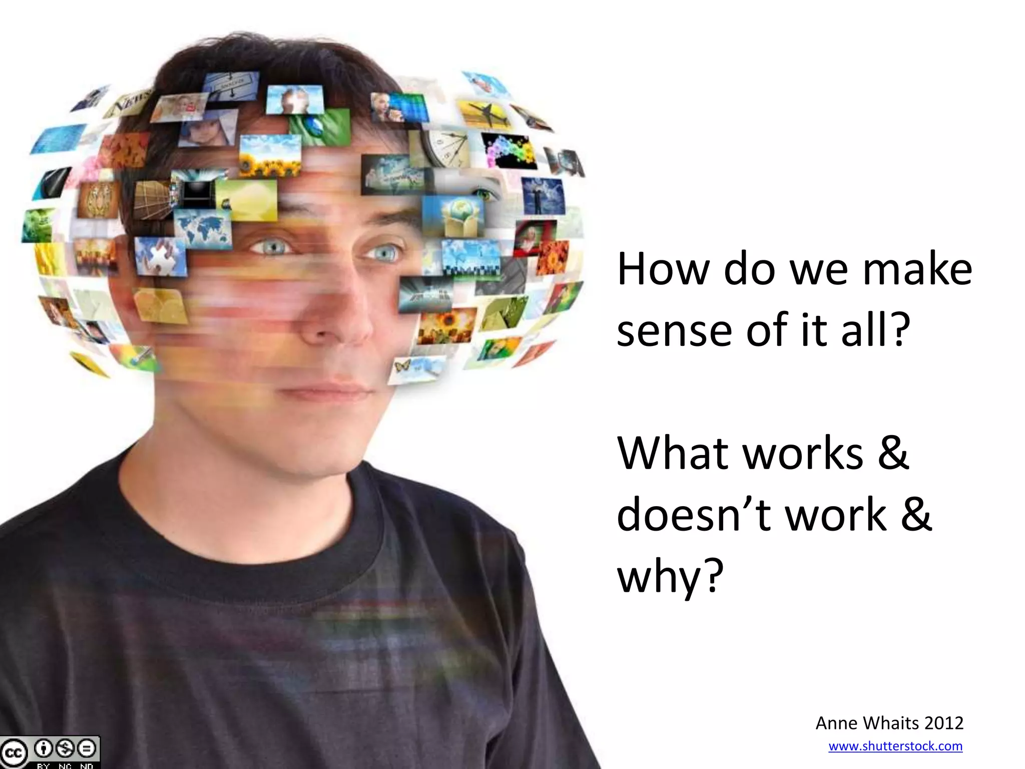 www.shutterstock.com
Anne Whaits 2012
How do we make
sense of it all?
What works &
doesn’t work &
why?
 