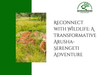 Reconnect
with Wildlife: A
Transformative
Arusha-
Serengeti
Adventure
 