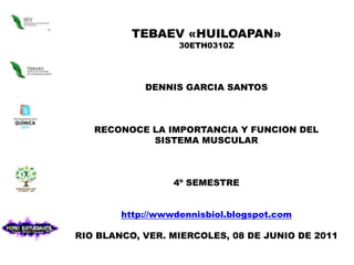 TEBAEV «HUILOAPAN» 30ETH0310Z DENNIS GARCIA SANTOS  RECONOCE LA IMPORTANCIA Y FUNCION DEL SISTEMA MUSCULAR 4º SEMESTRE http://wwwdennisbiol.blogspot.com RIO BLANCO, VER. MIERCOLES, 08 DE JUNIO DE 2011 