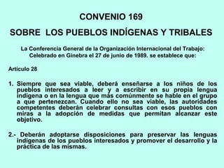 CONVENIO 169
SOBRE LOS PUEBLOS INDÍGENAS Y TRIBALES
La Conferencia General de la Organización Internacional del Trabajo:
Celebrado en Ginebra el 27 de junio de 1989. se establece que:
Artículo 28
1. Siempre que sea viable, deberá enseñarse a los niños de los
pueblos interesados a leer y a escribir en su propia lengua
indígena o en la lengua que más comúnmente se hable en el grupo
a que pertenezcan. Cuando ello no sea viable, las autoridades
competentes deberán celebrar consultas con esos pueblos con
miras a la adopción de medidas que permitan alcanzar este
objetivo.
2.- Deberán adoptarse disposiciones para preservar las lenguas
indígenas de los pueblos interesados y promover el desarrollo y la
práctica de las mismas.
 