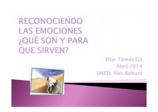 Pilar Tomás Gil
Abril 2014
UNED. Illes Balears
 