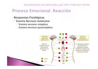 ◦ Respuestas Fisiológicas
Sistema Nervioso Autónomo
Sistema nervioso simpático
Sistema nervioso parasimpático
RECONOCIENDO LAS EMOCIONES.¿QUÉ SON Y PARA QUE SIRVEN?
 