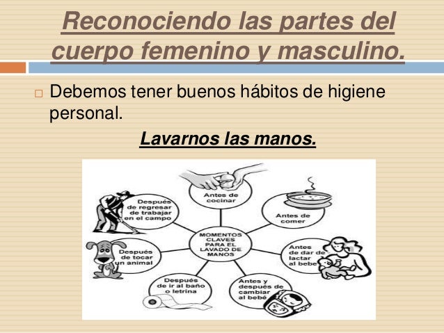 Reconociendo las partes del cuerpo femenino y masculino