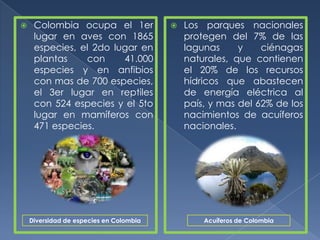     Colombia ocupa el 1er                  Los parques nacionales
     lugar en aves con 1865                  protegen del 7% de las
     especies, el 2do lugar en               lagunas     y    ciénagas
     plantas    con     41.000               naturales, que contienen
     especies y en anfibios                  el 20% de los recursos
     con mas de 700 especies,                hídricos que abastecen
     el 3er lugar en reptiles                de energía eléctrica al
     con 524 especies y el 5to               país, y mas del 62% de los
     lugar en mamíferos con                  nacimientos de acuíferos
     471 especies.                           nacionales.




    Diversidad de especies en Colombia           Acuíferos de Colombia
 
